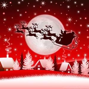 Meet your Posher, Roberta